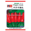 Bullet Pepper Red Cluster Chili Seeds For Growing Good Price and Excellent Quality-Thousand Red Bullets